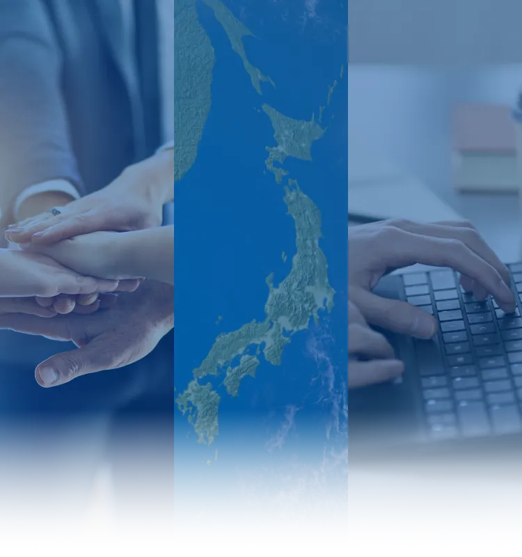 プロフェッショナルチームのイメージ