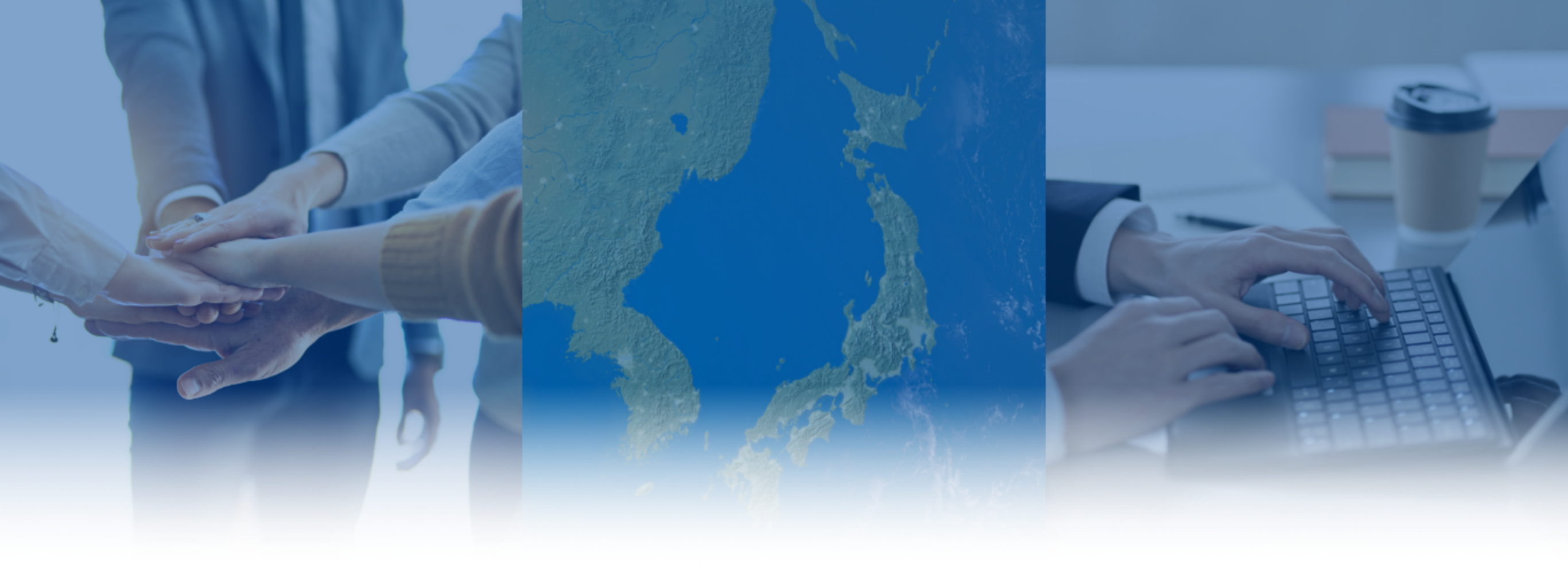 プロフェッショナルチームのイメージ